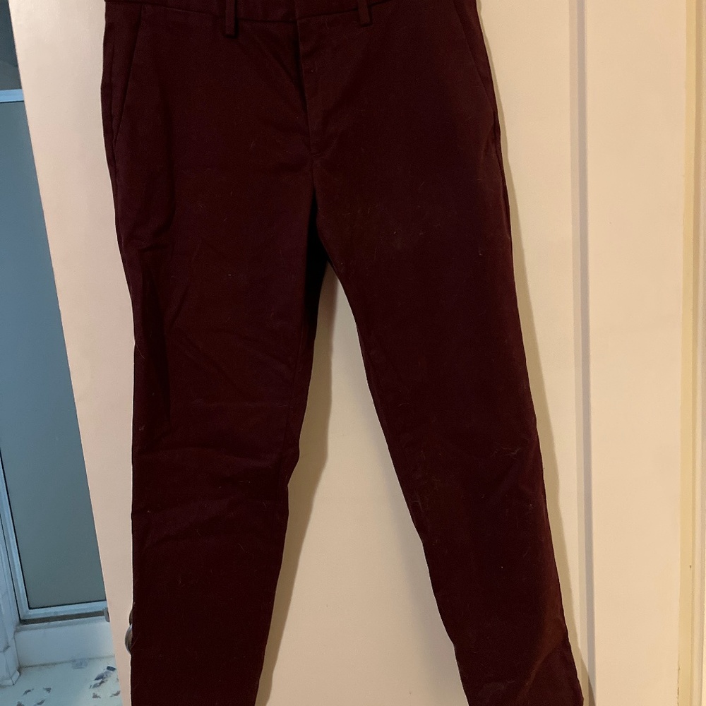 Banana Republic Tapered Leg Pant 30x30 Burgundy